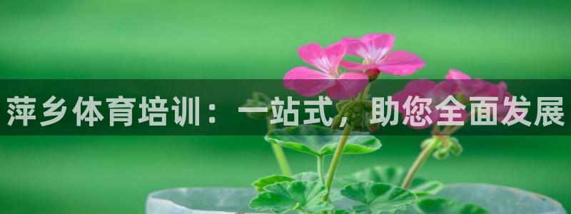 耀世第三关怎么过：萍乡体育培训：一站式，助您全面发展