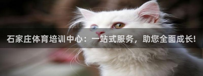 耀世平台注册开户：石家庄体育培训中心：一站式服务，助您全面成