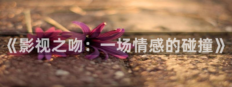 天狼午夜电影