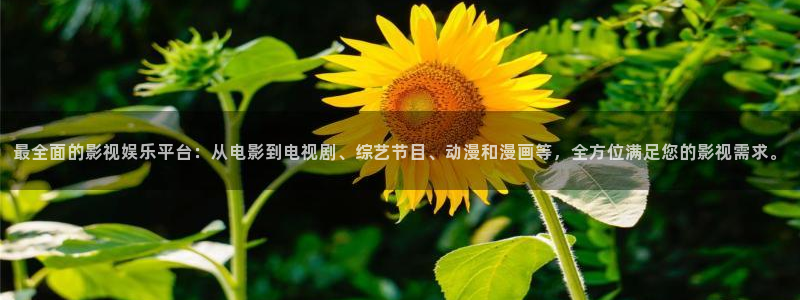 天狼手机影院