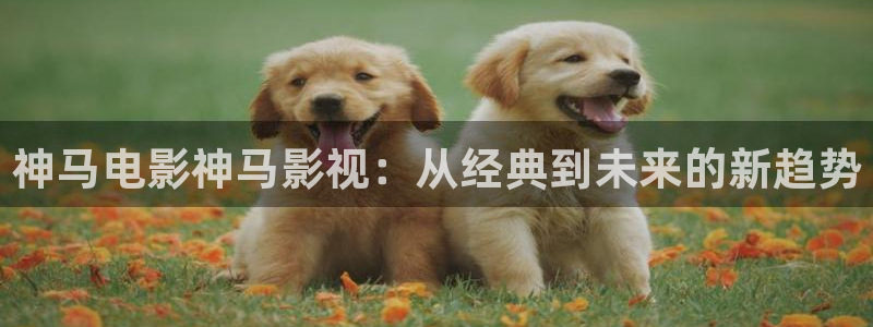 天狼影院天天