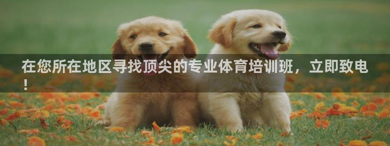 耀世平台注册开户流程：在您所在地区寻找顶尖的专业体育