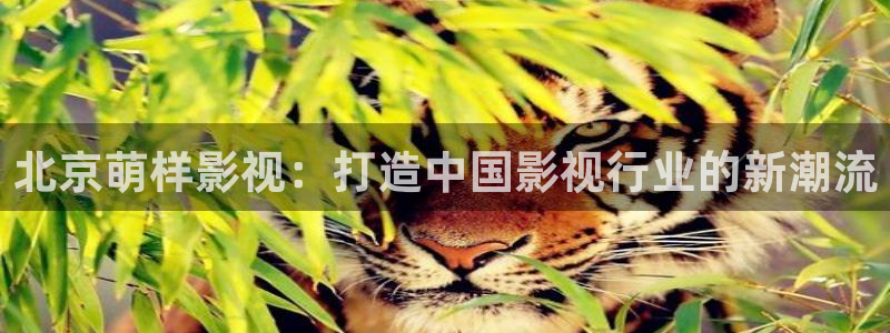 天狼影院免费在线观看